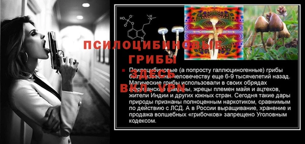эйфоретик Баксан